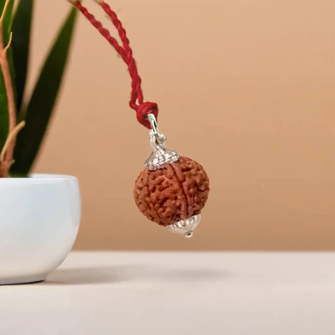 7 Mukhi Rudraksha pendent